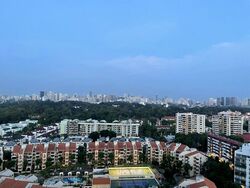 D'Leedon (D10), Condominium #502935271